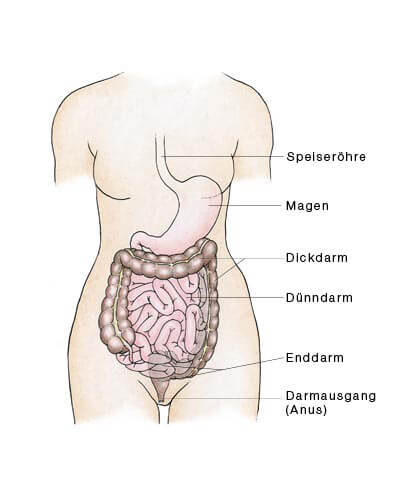 Colon-Hydro – Therapie Colon-Hydro - Therapie