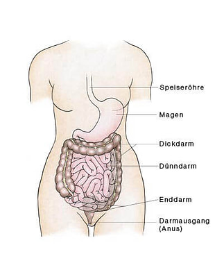 Colon-Hydro – Therapie Colon-Hydro - Therapie